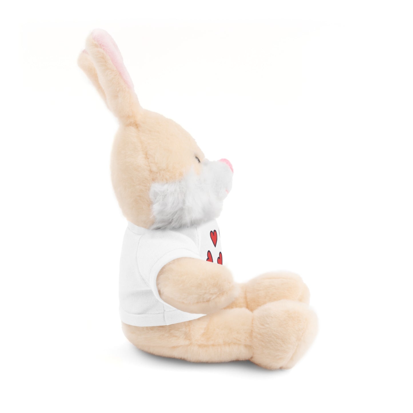 Ours en peluche avec t-shirt cœur